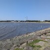 海辺のカラスさんぽ