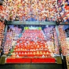 奥下田 美肌の湯 観音温泉に宿泊 伊豆半島を巡る早春の2日間コース