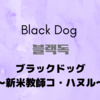 【韓国ドラマ】『ブラック・ドッグ〜新米教師コ・ハヌル〜(블랙독)』(2019-2020) レビュー