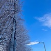 札幌に行ってきた！-札幌の雪と青空
