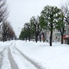 今日も雪のおしゃべり、一日雪かきをする