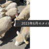 2023年6月のタイトル画像