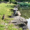 梅雨入り前の最高な天気