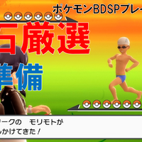 ポケモンbdsp 23 ハマナスパークで色違い厳選をする あの伝説のポケモンの色違いをゲット Yo Craft ヨークラフト