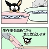 【クピレイ犬漫画】オタマの神様