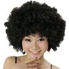 稲垣みえ子さんは朝日をお辞めになってもアフロのままで。