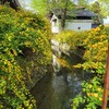 【京都】『松尾大社』に行ってきました。　京都花