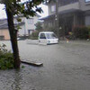 新潟を襲った集中豪雨