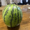 最近の弦物の話題