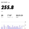 6月の月間走行距離～結局２５０㎞超えました