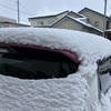 朝から筋トレ！