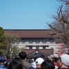 江戸東京桜散歩②🌸『上野公園さくら通り～東京国立博物館遠景～上野動物園』