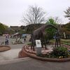 秋田市　大森山動物園をブラリ散策してきました🐘！