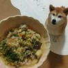 最近の手作りごはん