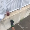 ヤッソでGO(330)