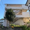 植栽と風水