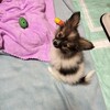 初ドライヤー