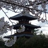 法起寺　　　　　（4月7日のさくら　　　2景）