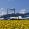 【三重県】菜の花と近鉄電車の撮影に行って来ましたら・・・