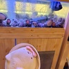 親子の絆。気遣いと成長の記録。