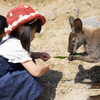 ■2016年上半期振り返り