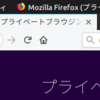 Ubuntu 18.04 でウィンドウを最大化した際にタイトルバーを隠す