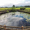 あまが池（群馬県伊勢崎）