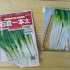 ネギの種植えをしました。
