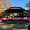 Tokyo Run for the Cure