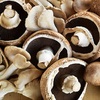 2032年のキノコ市場規模、シェア、成長分析