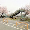 高徳線 造田駅で桜の撮影