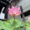 スピ能力開花・京都撮影会と最高の恋愛実践！
