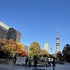 さっぽろテレビ塔のメッセージツリーは11月16日まで！紅葉も一緒に楽しめます