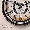 FIELD OF VIEW/きっと