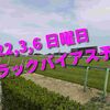 2022,3,6 日曜日 トラックバイアス予想 (中山競馬場、阪神競馬場)