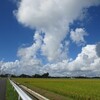 なごみ農園で「そうめん流し」