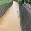 裏山の濁り残して出水川(あ）