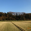 初！東俣野コース