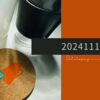 20241110