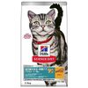 【正直レビュー】ヒルズ サイエンス・ダイエットでうちの猫が見違えた！室内猫の毛玉・体重ケア、その実力とは？
