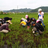 7月15日　草刈りっ