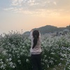 好きなもので埋め尽くせたら