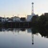 新池のハシビロガモ　ぐるぐる回って朝食