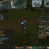 Lineage II その303 3/3