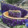【観光部】＜札幌市＞大通公園に「FLOWER WONDERLAND」が出現！「花フェスタ2024」に行ってきました