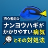 【ナンヨウハギの病気】ナンヨウハギがかかりやすい病気とその対処法まとめ