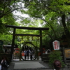 写真日記 - 野宮神社での写真