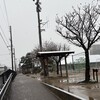 雪の朝