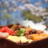 お花見弁当🌸