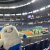 【セ・パ交流戦】オリックスvsDeNA2025/6/11